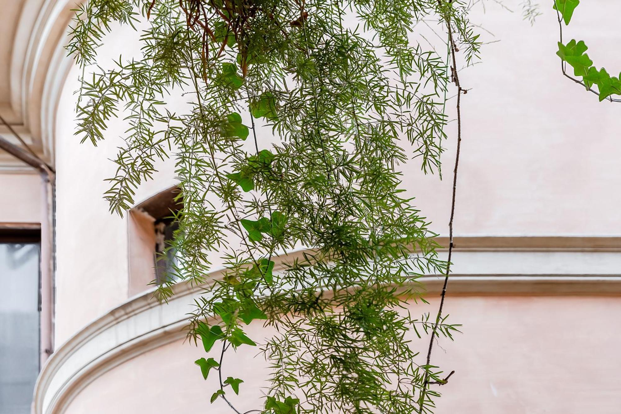 Appartement Trevi Fountain Stylish Rome